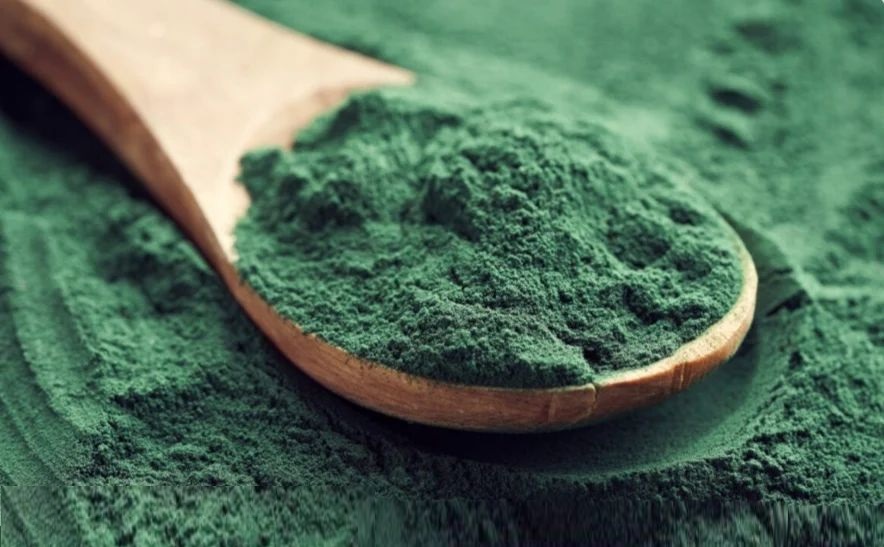 Descubriendo los Beneficios de la Espirulina para tu Organismo